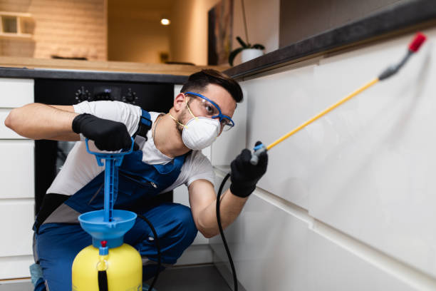 Best Rat Extermination Near Me  in Mishicot, WI