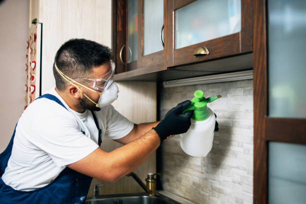 Pest Prevention Services in Mishicot, WI