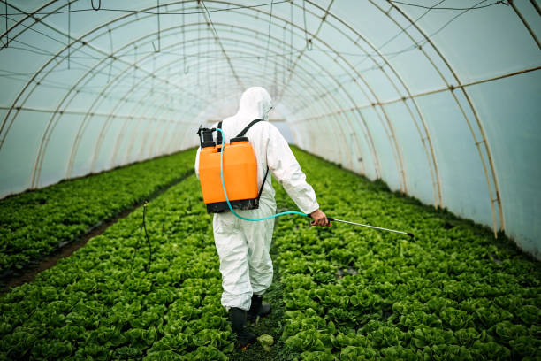 Best Affordable Exterminators  in Mishicot, WI