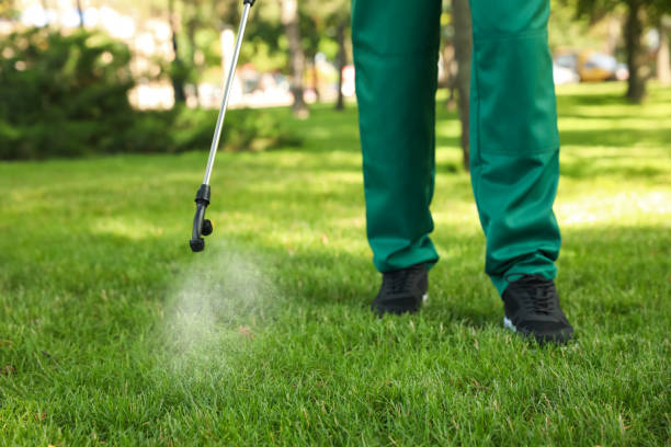 Best Termite Control Services  in Mishicot, WI