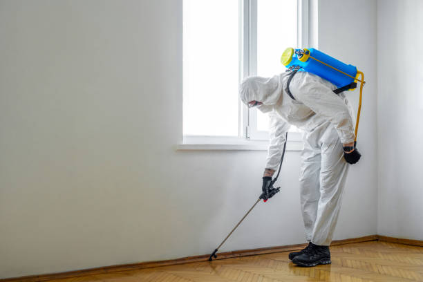Best Pest Prevention Services  in Mishicot, WI