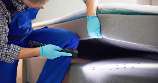 Best Wasp Removal Services  in Mishicot, WI