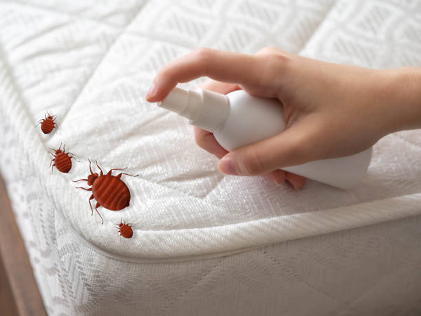 Mishicot, WI Pest Control Company
