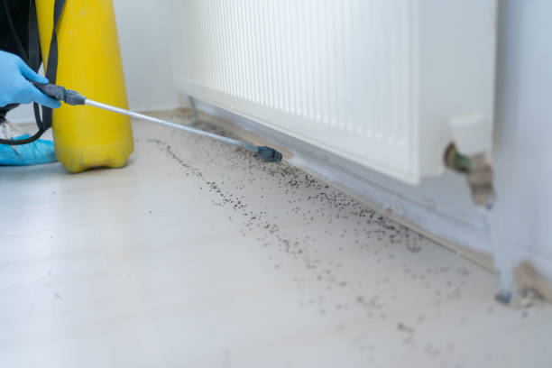 Best Pest Control Near Me in Mishicot, WI