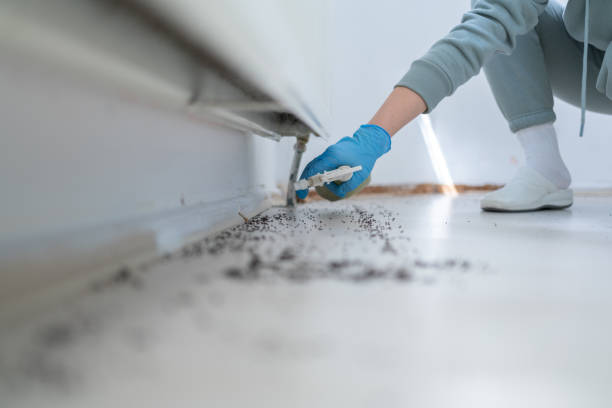 Flea Control Services in Mishicot, WI